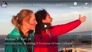 Screen Shot 2018-12-30 at 9.18.50 PM